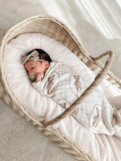 Pop Ya Tot - Swaddle | Ted & Duck - Pop Ya Tot