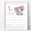 BabyCusch - Pink Floral Elephant Frame - BabyCusch