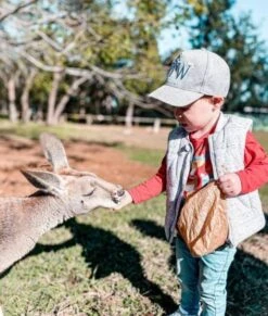 Front Page -MY LITTLE SHOP Cubsgrey