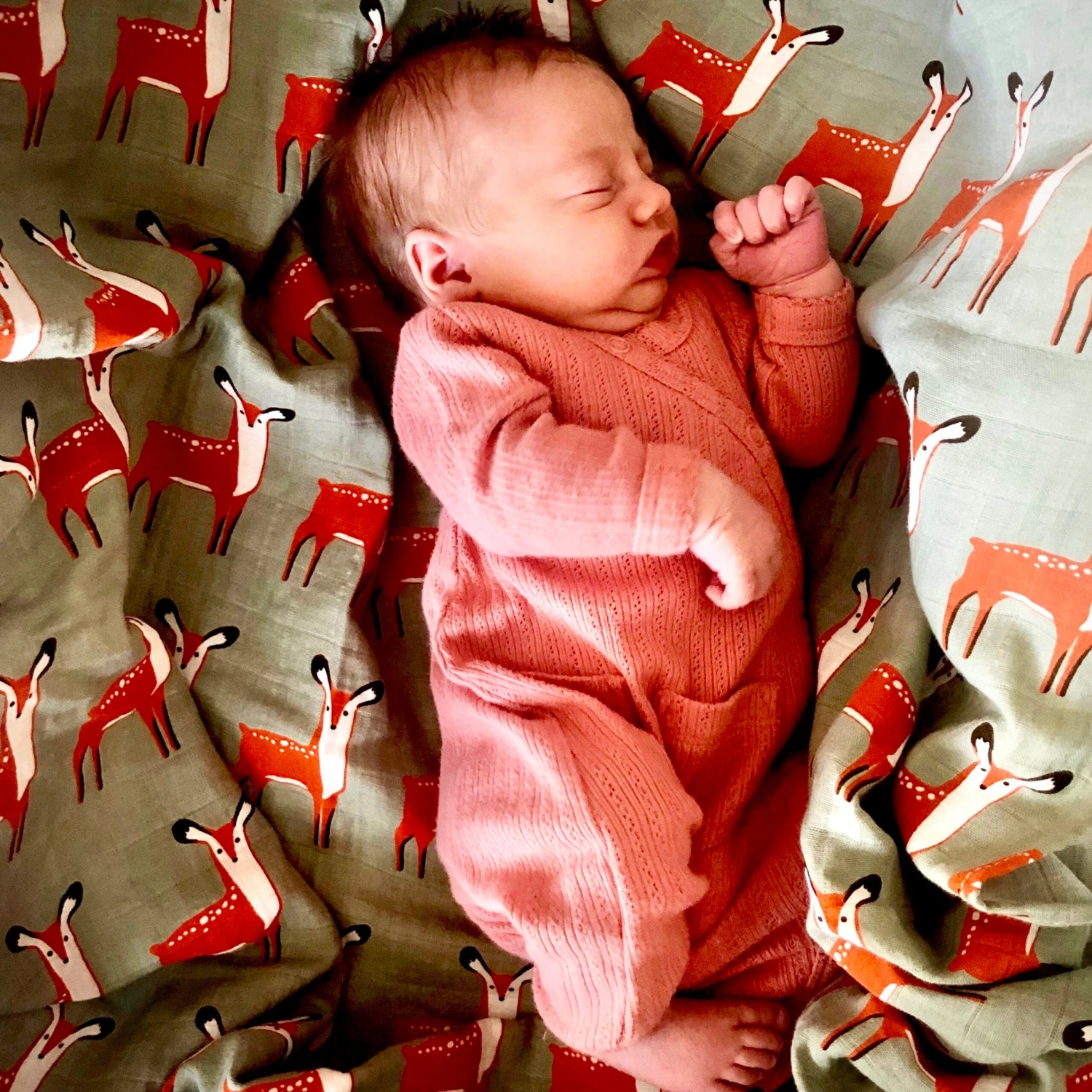 Tinker Tot Baby - Organic Cotton Swaddle – Dashing Deer - Tinker Tot Baby Tinker Tot Baby - Organic Cotton Swaddle – Dashing Deer - Tinker Tot Baby -MY LITTLE SHOP IMG 1881 scaled 1