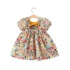 Garden Of Flowers Dress - Affordable Baby