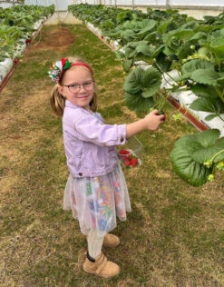 Distressed Denim Jacket | Purple - Affordable Baby -MY LITTLE SHOP Screenshot2022 11 22104743