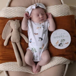 Snuggle Hunny Kids - Short Sleeve Organic Bodysuit | Dog Park - Snuggle Hunny Kids -MY LITTLE SHOP snuggle hunny dogs short sleeve bodysuit 9 3000x 50e9c70a 0a14 4b7d 98e3 b2dfbd1718c9